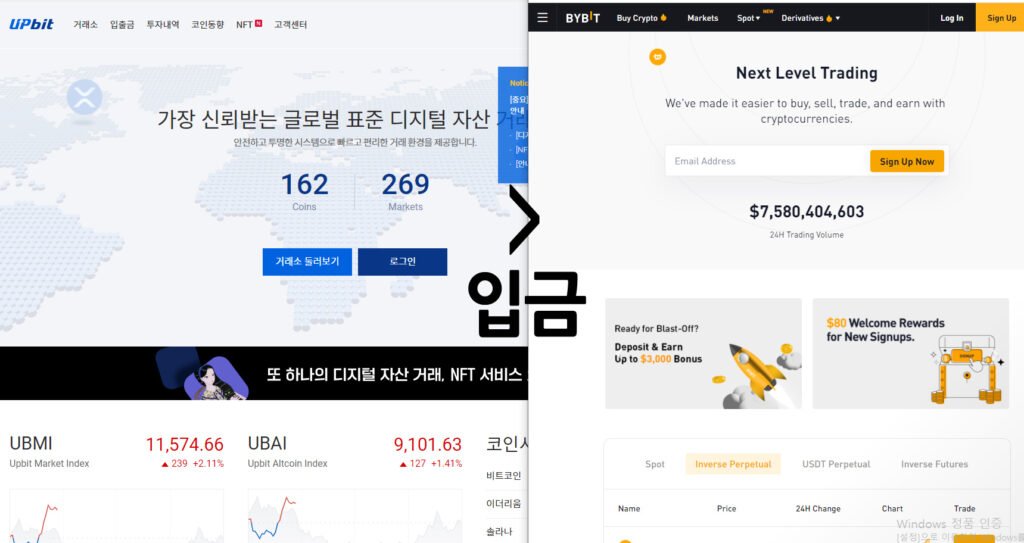 바이빗 입금
