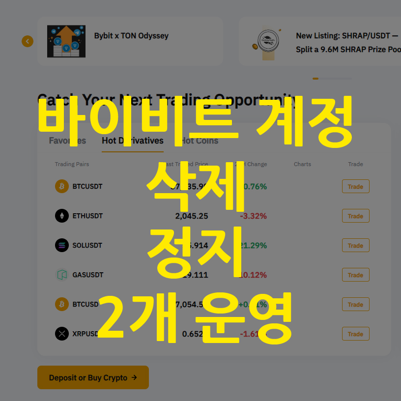 바이비트 계정