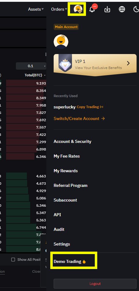 BYIBIT Demo Trading